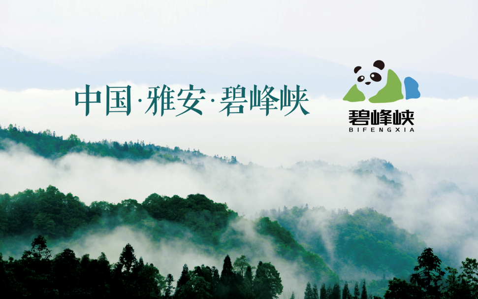 CA88(中国区)唯一官方网站